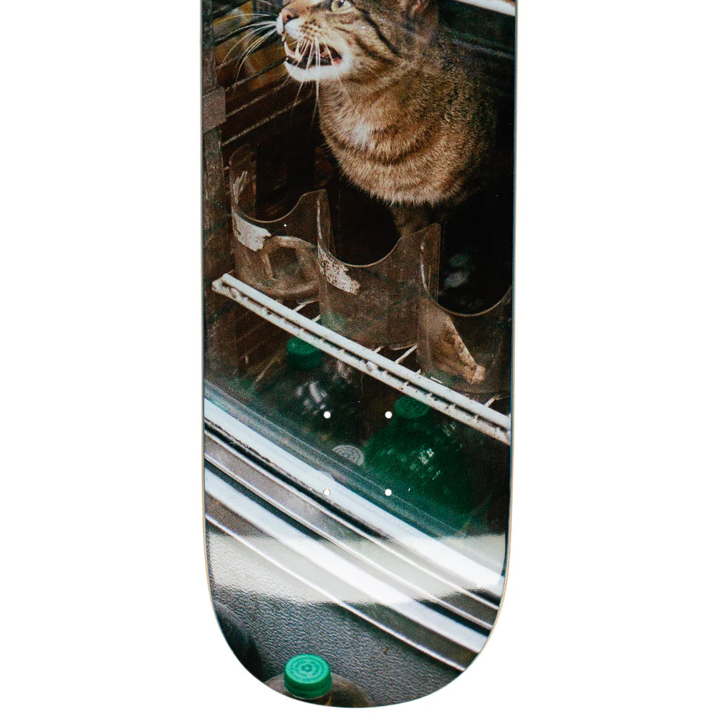 GX1000 - Bodega Cat 8.5"