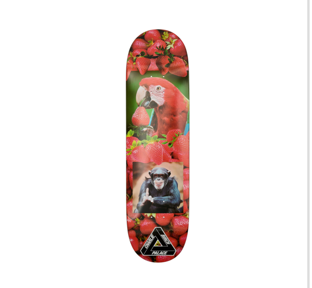 Palace - Charlie 8.5"