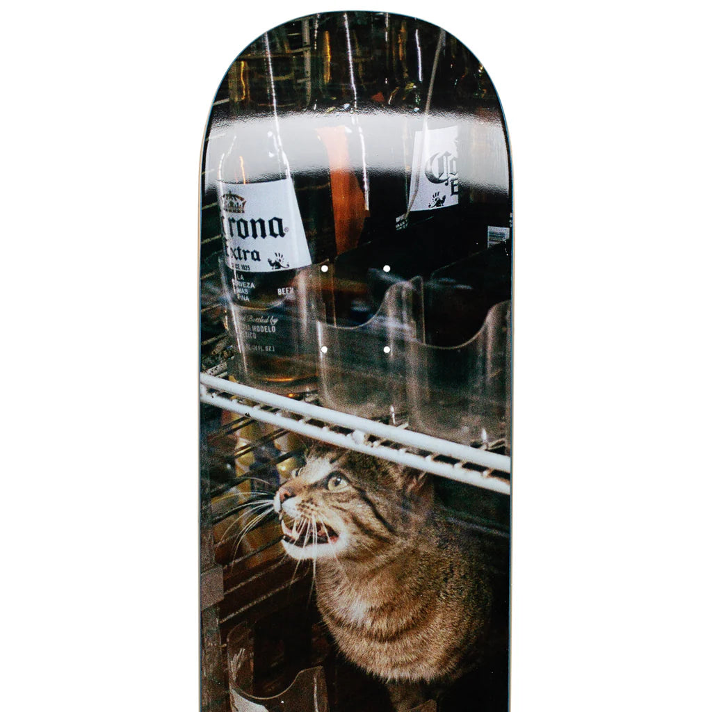 GX1000 - Bodega Cat 8.5"