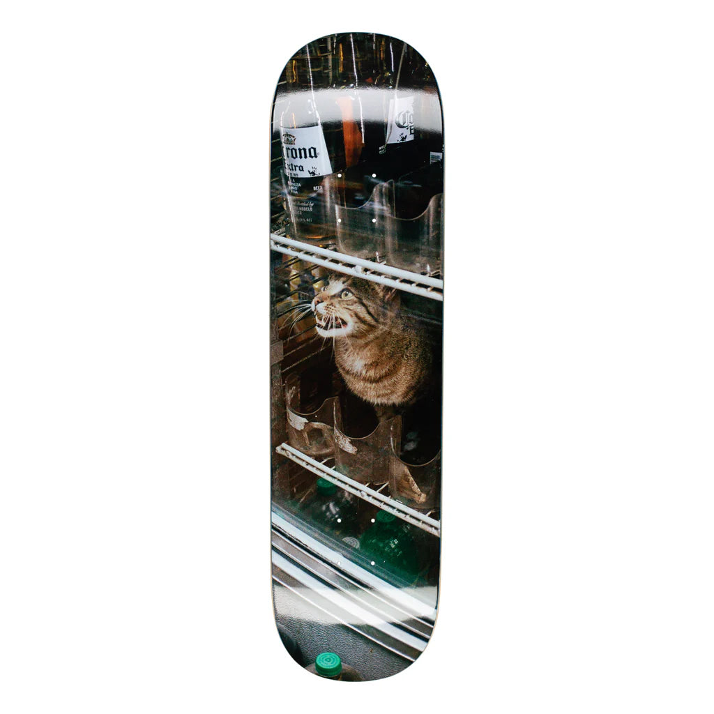 GX1000 - Bodega Cat 8.5"