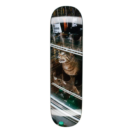 GX1000 - Bodega Cat 8.5"