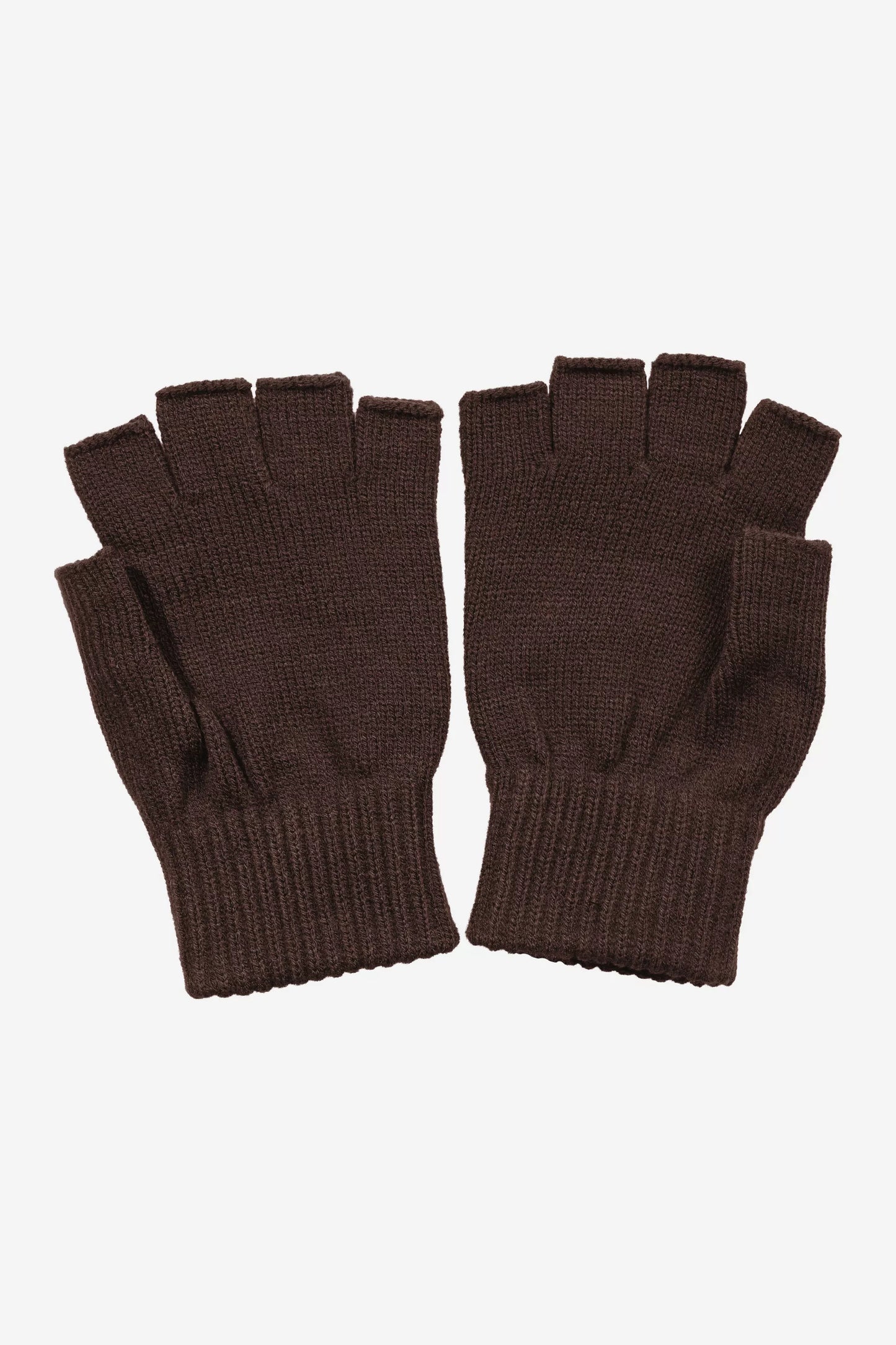 Carhartt - Mitten Palisander